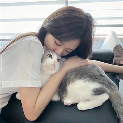 智慧杀手